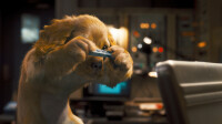 Cats & Dogs - Die Rache der Kitty Kahlohr / DVD - Guter Zustand