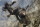 Pathfinder - Fährte des Kriegers - Extended Edition / Blu-ray - Top Zustand
