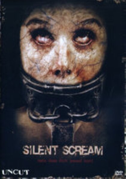 Silent Scream / DVD *Top Zustand