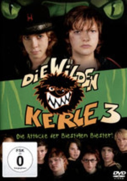 Die wilden Kerle 3 / DVD