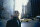 Leon - Der Profi -- Directora Cut ( 2 DVDs ) - Top Zustand
