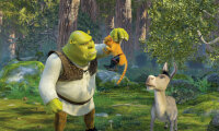 Shrek 2 - Der tollkühne Held kehrt zurück / DVD