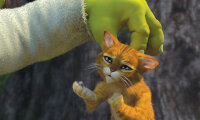 Shrek 2 - Der tollkühne Held kehrt zurück / DVD