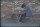 The Good Girl / DVD - Top Zustand