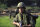 Platoon / DVD * Guter Zustand