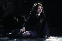 Harry Potter und die Kammer des Schreckens ( 2 DVDs )