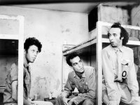 Down by Law (Ein Film Von Jim Jarmusch) (ARTHAUS) / DVD