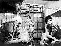 Down by Law (Ein Film Von Jim Jarmusch) (ARTHAUS) / DVD