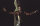The Scorpion King / DVD- Top Zustand