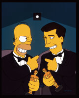 Die Simpsons - Film Festival / DVD * Guter Zustand