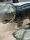 6x Goebel Katzen Figuren