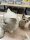 6x Goebel Katzen Figuren