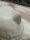 6x Goebel Katzen Figuren