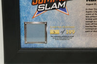 Brock Lesnar SummerSlam 2016 15 x 17 Framed Plaque w Ring...