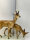 Hutschenreuther Kunstabteilung Figur Rehwild Bock mit Ricke