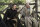 Game of Thrones - Staffel 5  [5 DVDs]