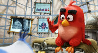 Angry Birds - Der Film / Blu-Ray - Guter Zustand