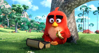 Angry Birds - Der Film / Blu-Ray - Top Zustand