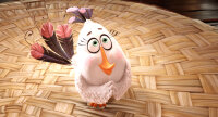 Angry Birds - Der Film / Blu-Ray - Top Zustand
