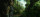 Warcraft: The Beginning / DVD