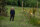 Die Vorsehung - Solace / Blu-Ray * Guter Zustand