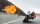 Mission: Impossible 5 - Rogue Nation / DVD