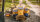 Minions / DVD - Guter Zustand