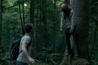 The Forest - Verlass nie den Weg / Blu-Ray * Guter Zustand