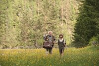 Honig im Kopf / DVD