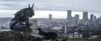 Chappie  (Mastered in 4K) / Blu-Ray *Top Zustand