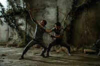 Maze Runner - Die Auserwählten im Labyrinth / DVD *Top Zustand