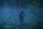 The Forest - Verlass nie den Weg / DVD