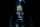 The Forest - Verlass nie den Weg / DVD