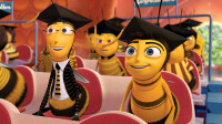 Bee Movie - Das Honigkomplott / DVD * Top Zustand