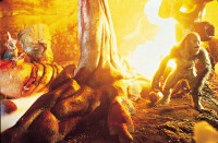 Evolution/ DVD * Guter Zustand