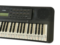 Yamaha PSR-E273 Home Keyboard mit Lernfunktion und Quizmodus