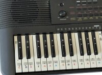 Yamaha PSR-E273 Home Keyboard mit Lernfunktion und Quizmodus