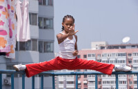 Karate Kid  (2010)  DVD
