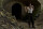 Inglourious Basterds / DVD - Akzeptabel mit Kratzer