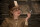 Inglourious Basterds / DVD - Akzeptabel mit Kratzer