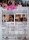 American Pie - Audio Video Foto Bild / DVD - Guter Zustand