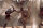 Gladiator / DVD - Top Zustand
