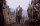 Gladiator / DVD - Top Zustand
