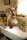 Marmaduke / Blu-Ray *Top Zustand