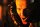 The Colony - Hell Freezes Over - Pappcover / DVD * Top Zustand