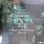 Gåte – Ulveham - Green Vinyl, LP - M (Mint) Brandneu