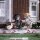 Katze mit Hut - Augsburger Puppenkiste / DVD * Top Zustand