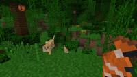 Minecraft includes Super Mario Mash-Up and More *Nintendo...