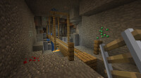 Minecraft includes Super Mario Mash-Up and More *Nintendo Switch* Top Zustand