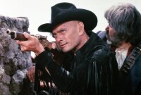 Adiós Sabata - Yul Brynner [Special Edition] DVD *Top Zustand